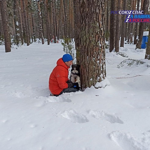 Рязанские собаки-спасатели тренировались искать людей в лесном массиве