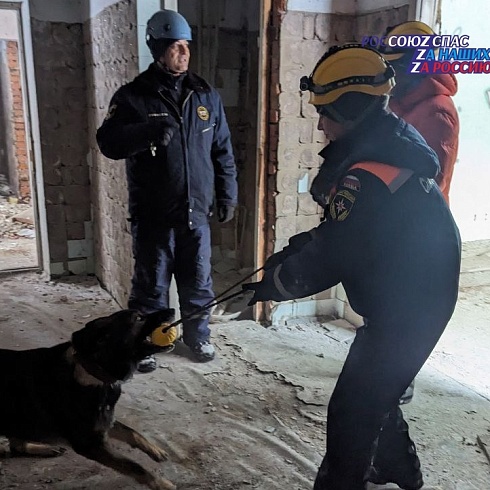 Рязанские собаки-спасатели тренировались искать людей в техногенном завале